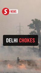 Farmers in Punjab burn stubble, say they lack options, as smog blankets Delhi