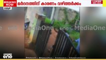 വാഴിത്തർക്കം: തിരുവനന്തപുരം ഉള്ളൂരിൽ വയോധികയെ ക്രൂരമായി മർദിച്ച് അയൽവാസി