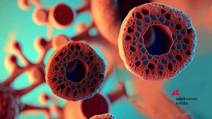 Salute, Talassemia: impatto clinico e prospettive terapeutiche al centro del media tutorial di Avanzanite Bioscience Italia