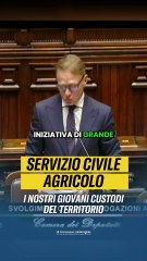 Lollobrigida - C’era chi pensava che il Servizio Civile Agricolo... (13.11.25)