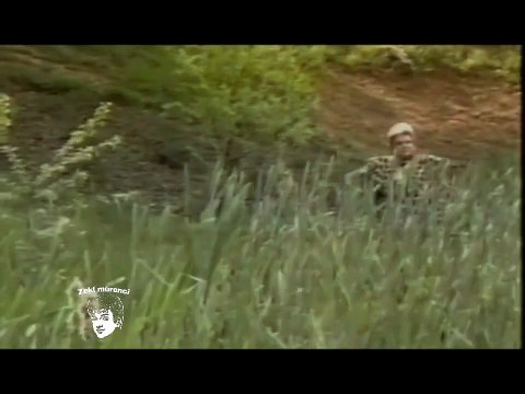 Zeki Müren Neler Ettin Sen Neler Klip