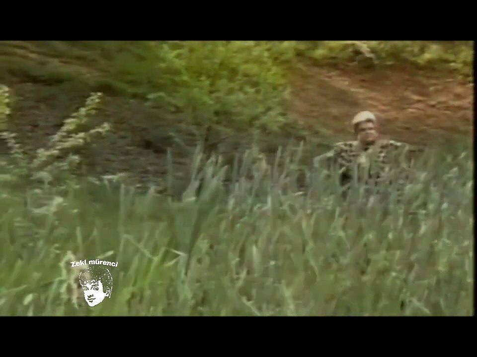 Zeki Müren Neler Ettin Sen Neler Klip