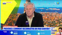 Bonjour Marseille du jeudi 13 novembre 2025
