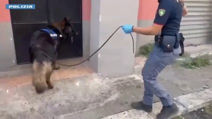 16enne arrestato a Catania, in cantina nascondeva droga e fucile a canne mozze