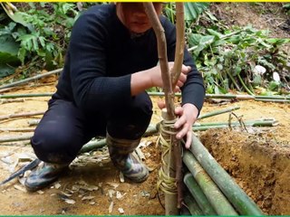 Relaxing Camping Night | Peaceful Nature Vibes