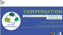Les mots des transitions cycle 6 (1/3) : Compensation