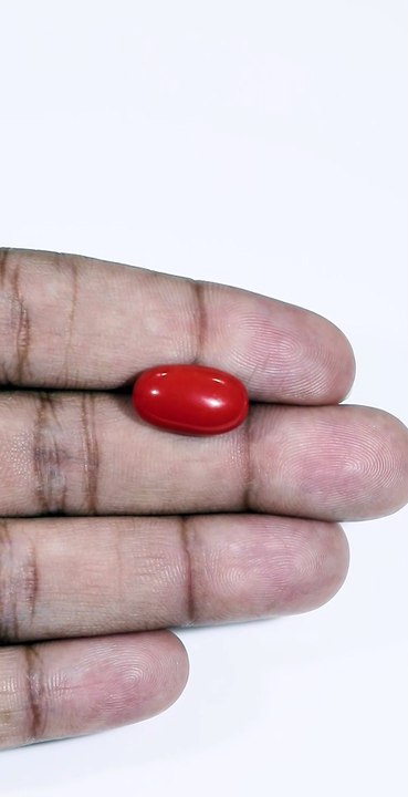Natural Red Coral Stone