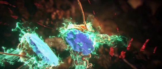 Donghua《Perfect World》EP241 - [HD] - Watch New Donghua Episode for Free