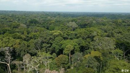 Carbon schemes in Congo: Who's really paying the price?