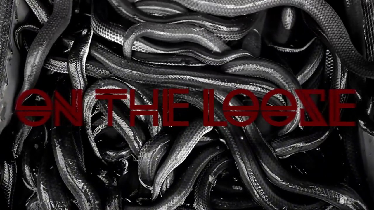 ON THE LOOSE - The serpent within
