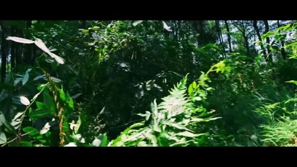 【2025 Newest Movies】Lab beast escapes, attacks people! Blood soaks the isolated island!#👾movie #film