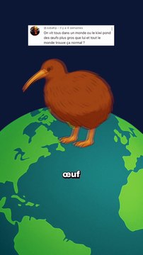 Cet oiseau pond un oeuf aussi gros que lui ! #oeuf #oiseau #nature #animaux #humour