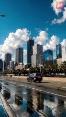 Her sister stole her identity and son for six yearstruth out, the CEO begs forgiveness!