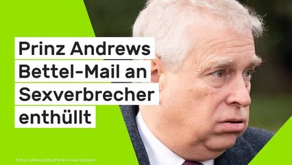 Geheim-Botschaft an Jeffrey Epstein: "Ich kann nicht mehr!" Prinz Andrews Bettel-Mail an Sexverbrecher enthüllt