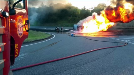 Acidente Fatal na PE009: A Tragédia que Comoveu Suape e a Importância da Segurança no Trânsito