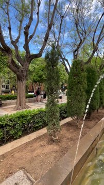 BALADE dans les ruelles de Palma