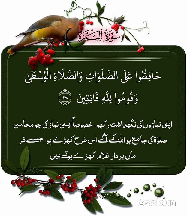 حٰفِظُوۡا عَلَی الصَّلَوٰتِ وَ الصَّلٰوۃِ الۡوُسۡطٰی