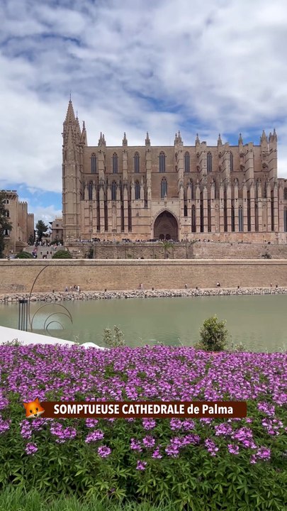 SOMPTUEUSE CATHEDRALE de Palma