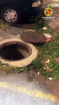 PMDF impede furto de cabos de energia e detém grupo que agia durante a madrugada na Asa Norte