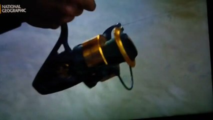 Bêtes de poissons : le poisson vampire