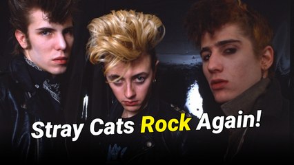 Stray Cats Return With Fall 2025 Tour After Setzer’s Health Recovery.