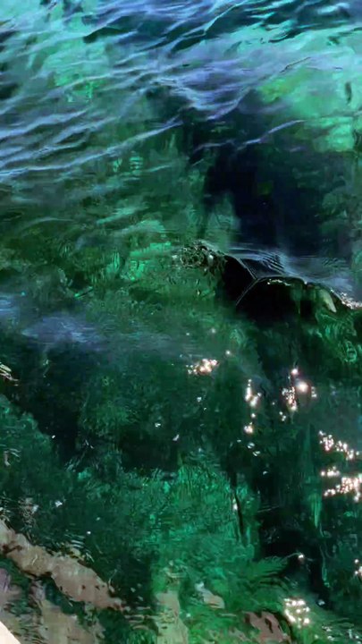 UNE MER D'HUILE à Andratx et alentours