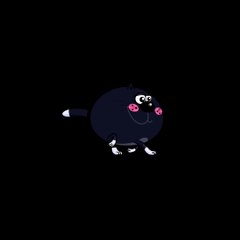 SERDAR ŞİMŞEK KOMİK KEDİ VİDEO