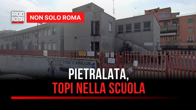 A Pietralata genitori e bambini occupano il Municipio: La scuola è invasa dai topi e il cibo è scaduto