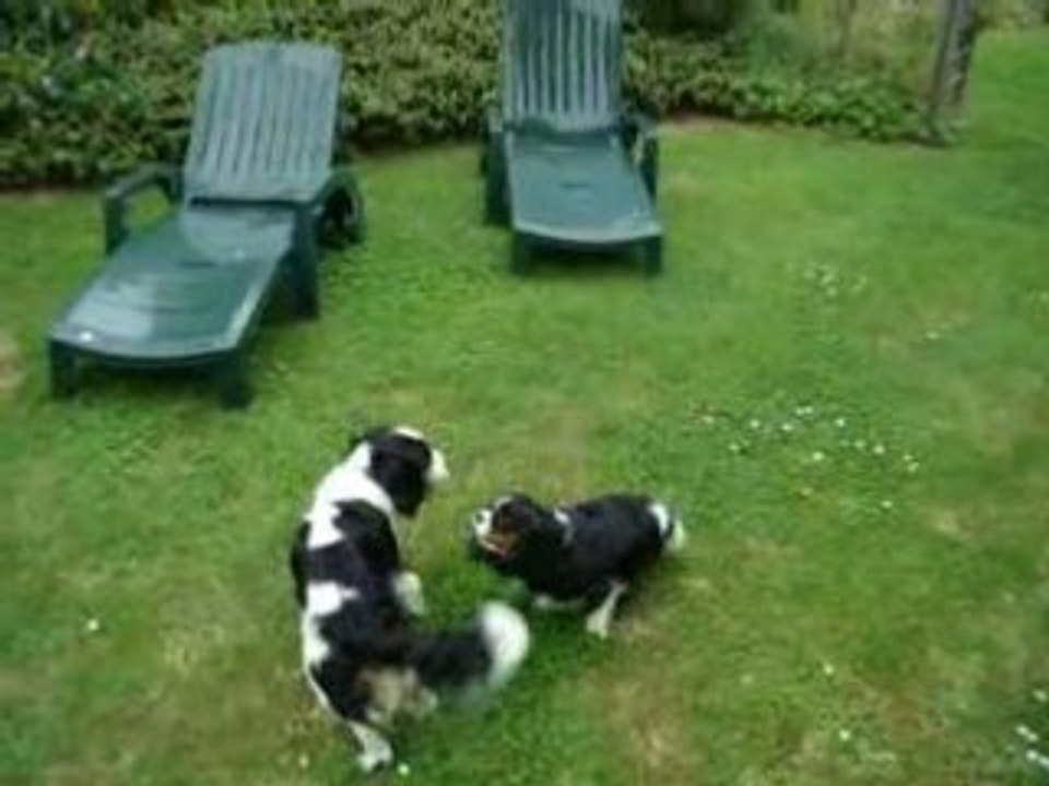 Virgile & Clélia mai 2008