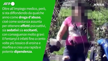 E' vero che c'e' una emergenza Fentanyl anche in Italia?