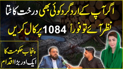 Zain - Forest Wildlife Control Room - Final