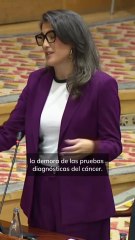 Bergerot (Más Madrid): "Mezquino es vender la sanidad pública a Quirón a cambio de vivir en un ático"