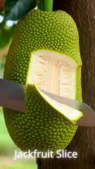 ASMR Cutting – Satisfying Jackfruit Slice Straight from the Tree