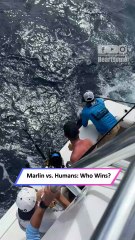 Epic Marlin Battle Caught on Camera—Crew Fights Hard for the Big Catch|| Heartsome 💖