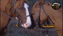 الكواسر الحلقة19 كاملة