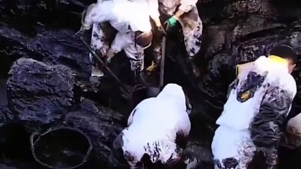 20 años de la catástrofe medioambiental del hundimiento del Prestige