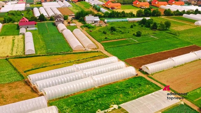 Imprese, Syngenta compie 25 anni tra sostenibilità e innovazione