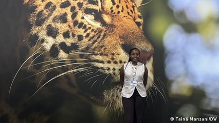 COP30 in Brazil: Young Africans say it's time to act