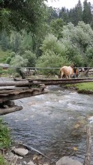 "From Mountains to Magic – My Journey to Taobat Bala"