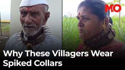 Leopard terror in Pune: Why villagers now wear spiked collars