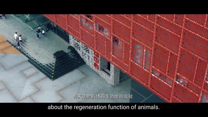 【2025 Newest Movies】🧬Mutant mantis is out of control,attacks people.Human escape starts now!😱#film