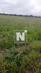 ENCUENTRAN UN CUERPO SIN VIDA EN UN LOTE BALDÍO DE LA ZONA OESTE DE SANTA CRUZ