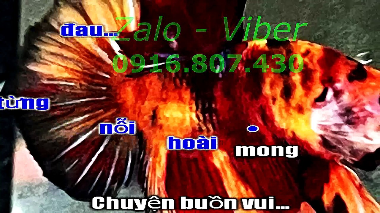Mux251110204007