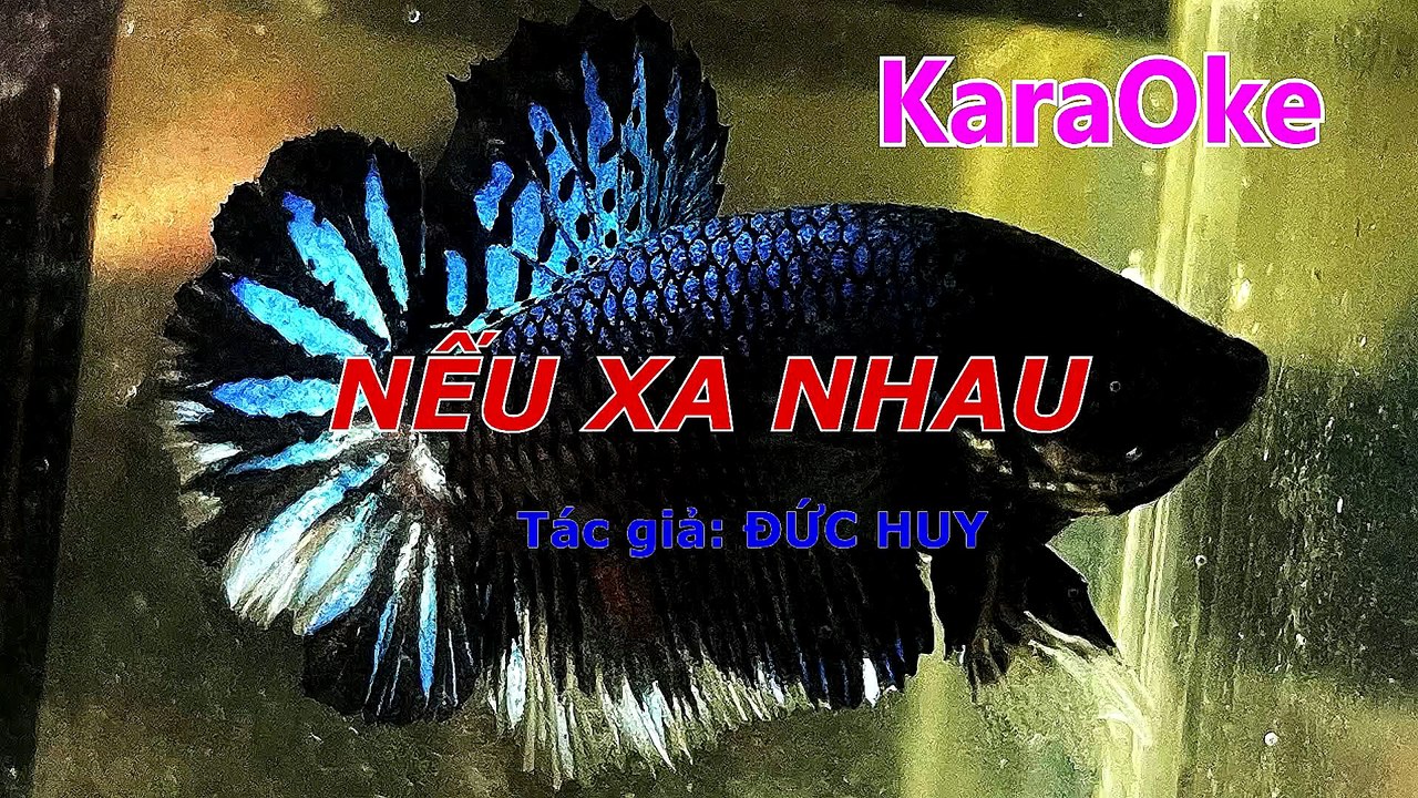 Mux251103215052