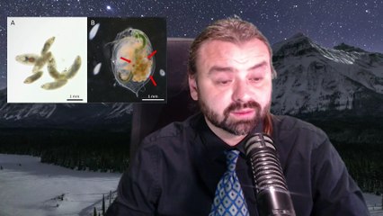 The Darkness News Update for November 13, 2025