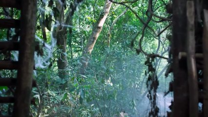 🕷Colossal spider swarm attacks people, survivors trapped in spider web hell, Screaming!😱#movie #film