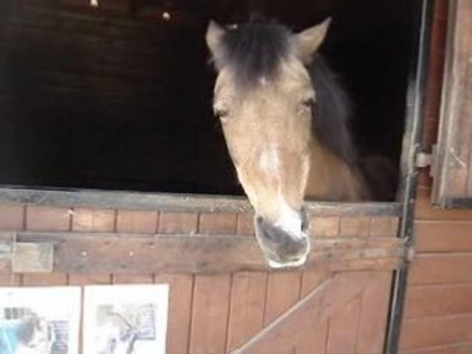 Donckey ne se sent plus <3