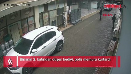 2'nci kattan düşen kediyi polis kurtardı