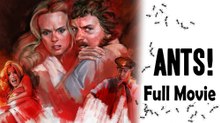 Ants (1977) Watch HD