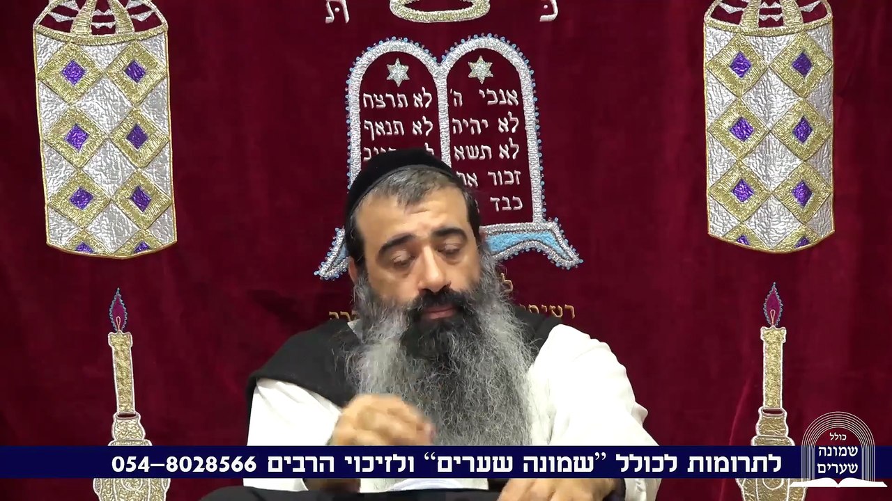 החיות היא פנימית לפעילות ההשכלה 30